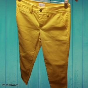 Women's Market & Spruce capris